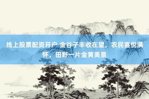 线上股票配资开户 金谷子丰收在望，农民喜悦满怀，田野一片金黄美景
