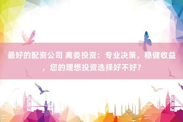 最好的配资公司 离娄投资：专业决策，稳健收益，您的理想投资选择好不好？