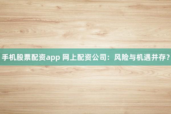 手机股票配资app 网上配资公司：风险与机遇并存？