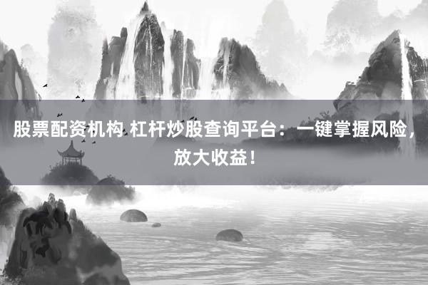 股票配资机构 杠杆炒股查询平台：一键掌握风险，放大收益！