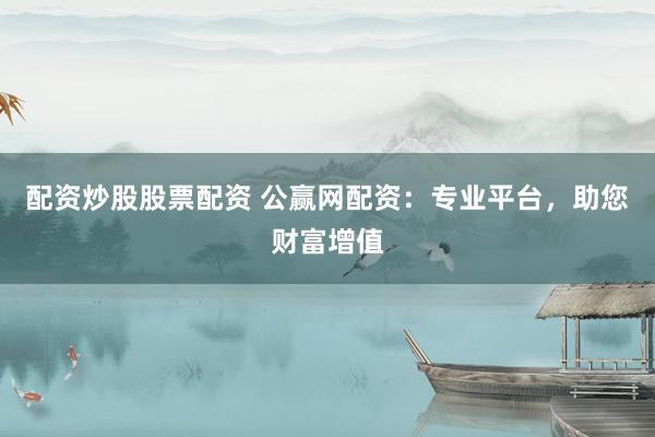 配资炒股股票配资 公赢网配资：专业平台，助您财富增值