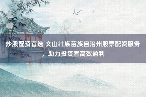 炒股配资首选 文山壮族苗族自治州股票配资服务，助力投资者高效盈利