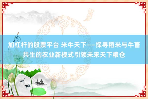 加杠杆的股票平台 米牛天下——探寻稻米与牛畜共生的农业新模式引领未来天下粮仓