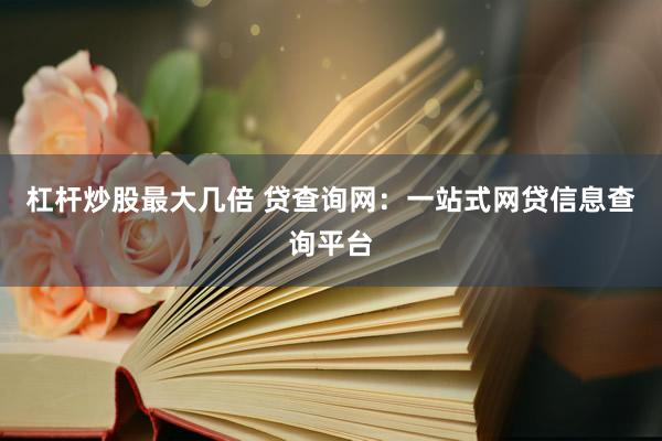 杠杆炒股最大几倍 贷查询网：一站式网贷信息查询平台