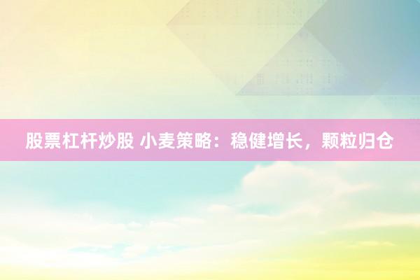 股票杠杆炒股 小麦策略:稳健增长,颗粒归仓
